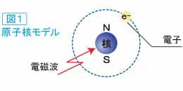 『NMR(核磁気共鳴)』とは 奇数の原子番号の物質、例えば水素(原子番号1)の原子核は図1の様に原子核がN極とS極に分極しています。この分極(磁極化)している原子核に、ある特定の電磁波を与えると、原子核が共鳴振動を起こします。この現象を『NMR(Nuclear Magnetic Resonance))といいます。
