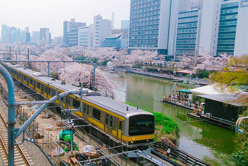 東京理科大