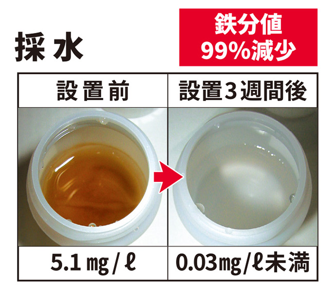 内視鏡調査