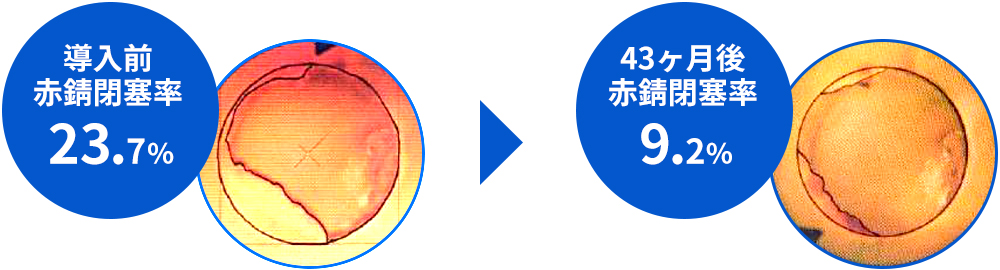 内視鏡によってNMRパイプテクターの赤錆改善効果を確認