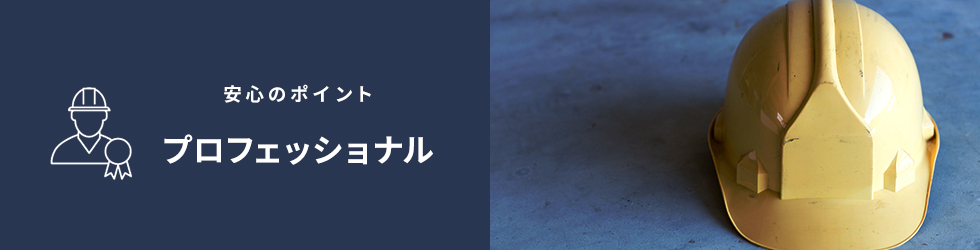 安心のポイント「プロフェッショナル」